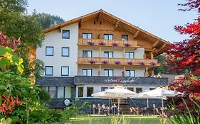 Hotel 4 Jahreszeiten Bad Mitterndorf